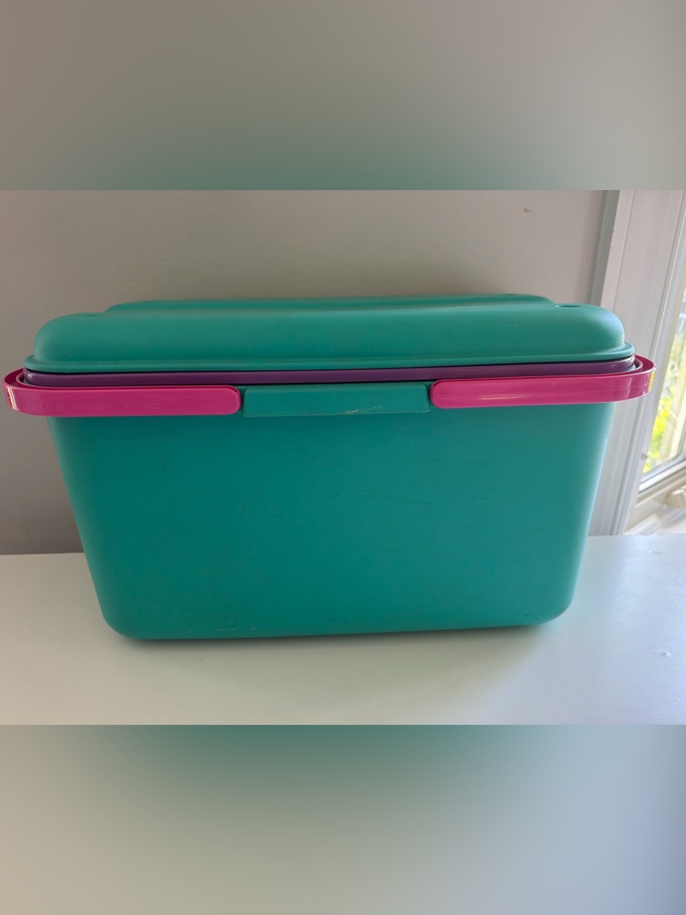 VTG Eagle Craftstor Plastic Storage Large Teal PinkPurple Retro 90s Craft Sewing
